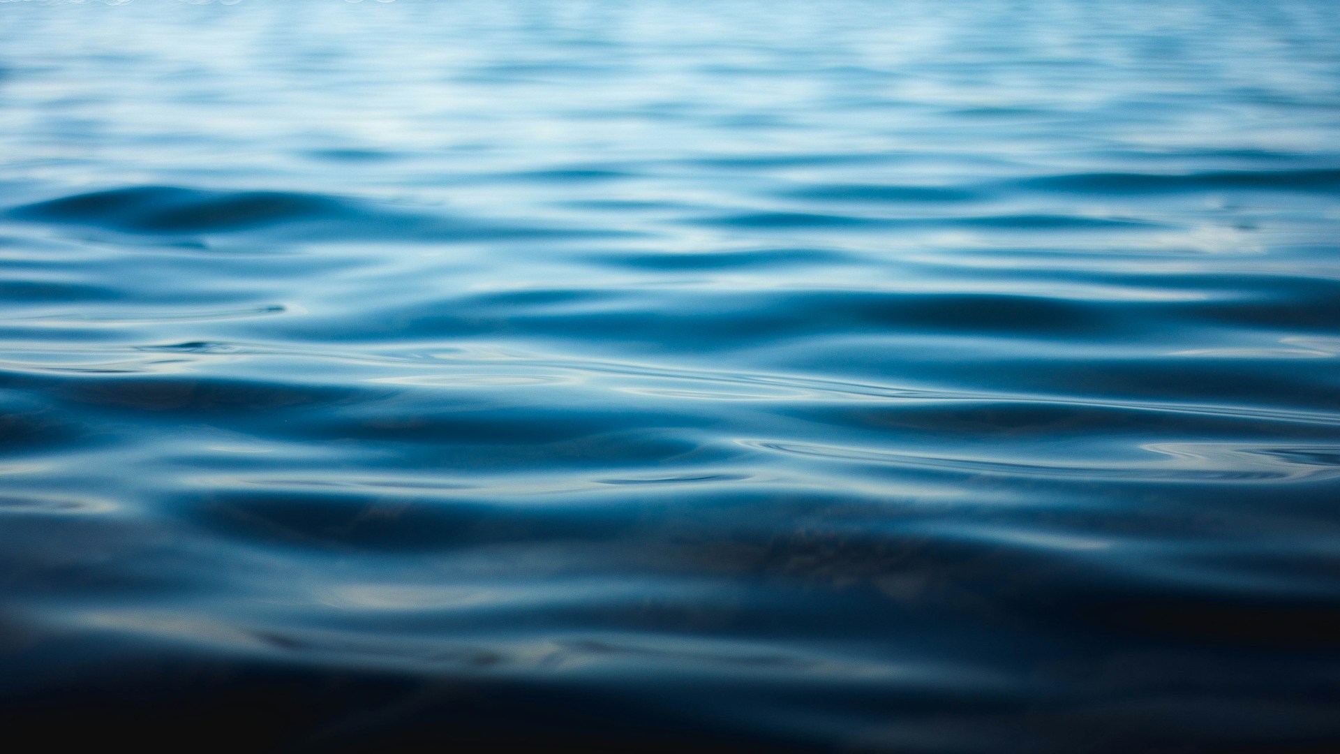 Agua