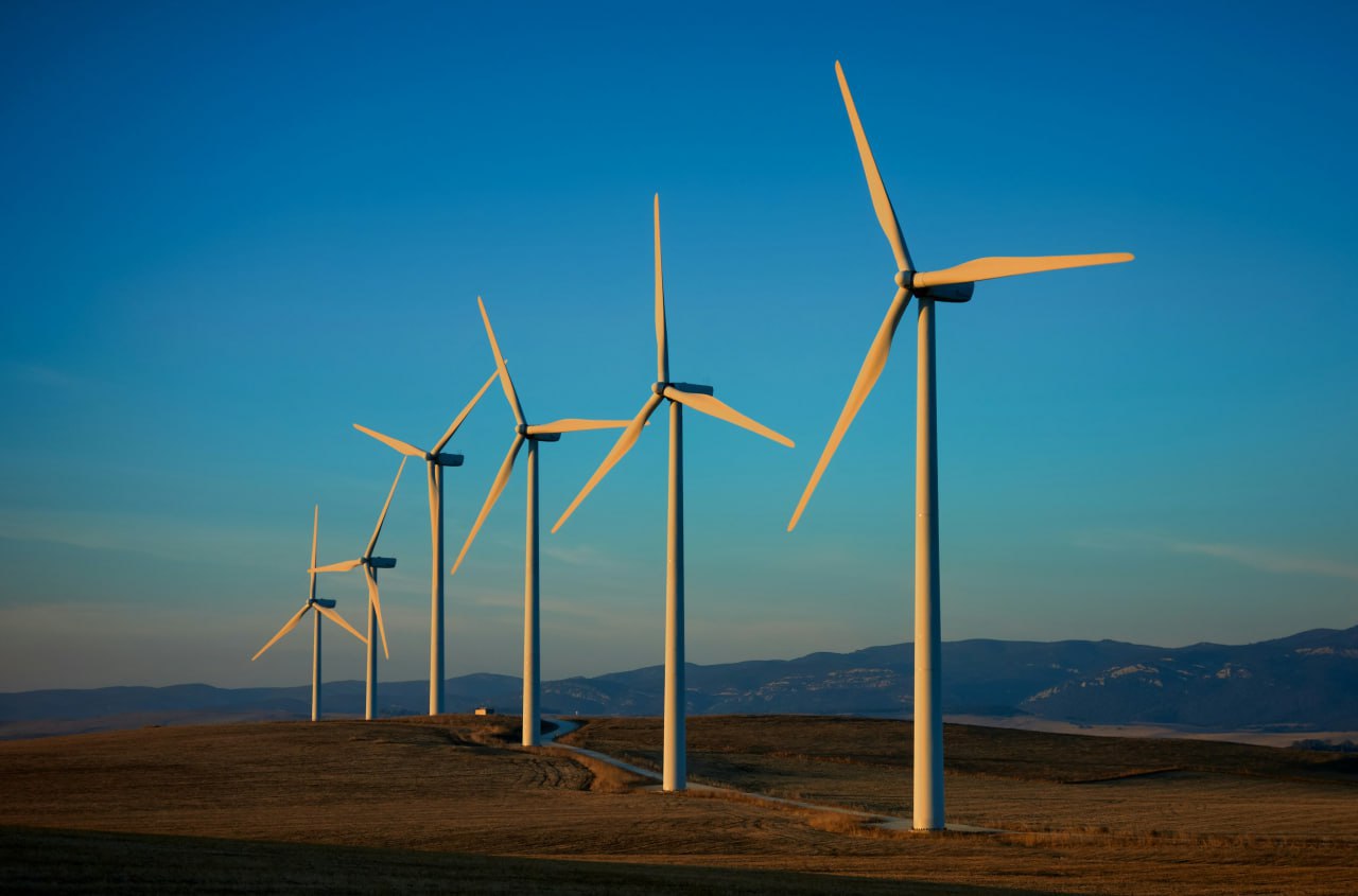 Molinos de viento 