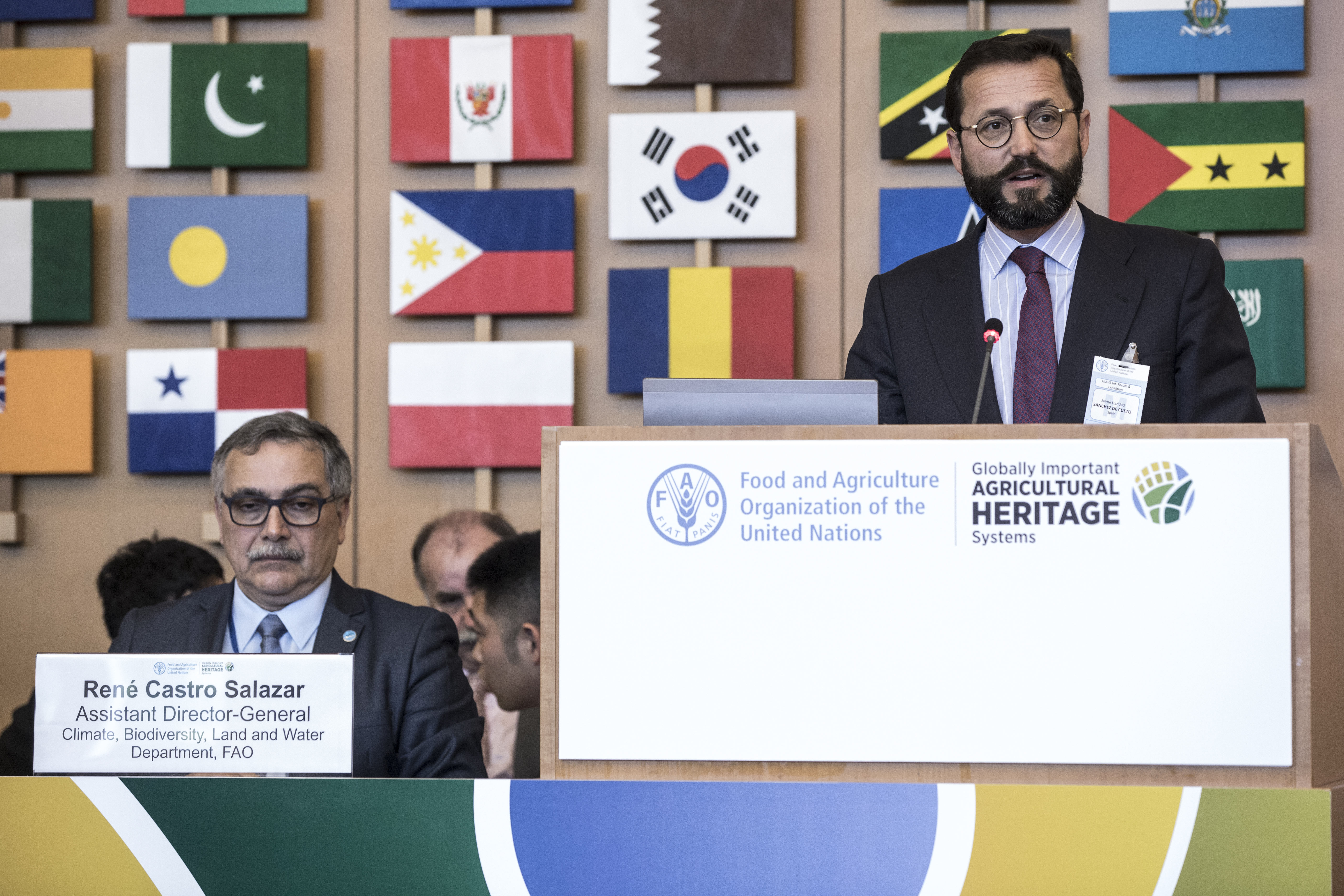 19 April 2018, Rome, Italy - Mr Jaime Haddad Sanchez de Cueto, Vice-Minister of Agriculture, Fisheries, Food and Environment, Spain. Globally Important Agricultural Heritage Systems (GIAHS) International Forum and  Certificate Award Ceremony, (Green Room), FAO Headquarters.