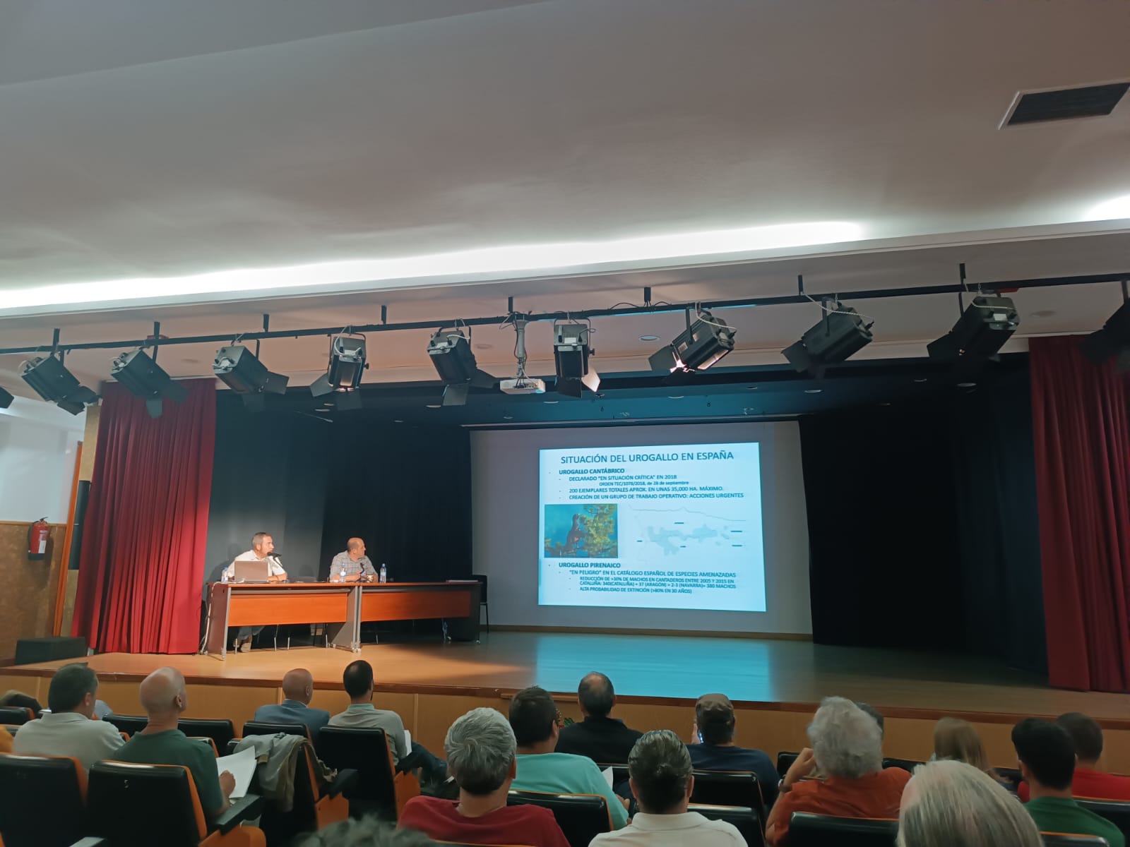 Jornada divulgativa sobre la situación del urogallo en España