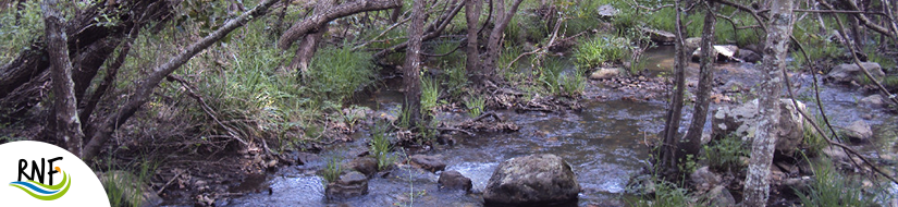 Reserva Natural Fluvial Valdeinfierno - La Hoya