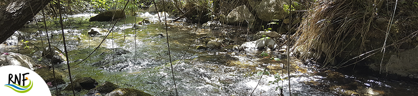 Reserva Natural Fluvial Medio-Alto Verde de Marbella