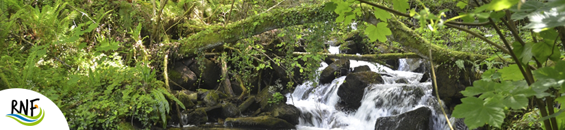 Reserva Natural Fluvial Deba