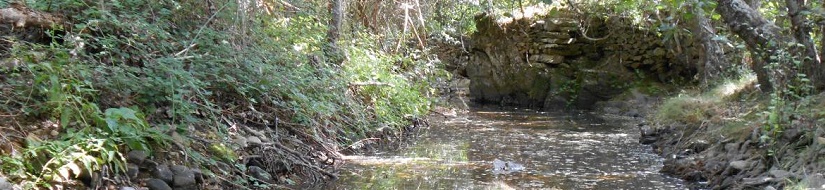 Reserva Natural Fluvial Alto Turienzo y afluentes