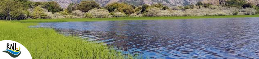 Lago de Sanabria