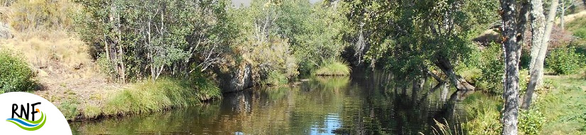 Reserva Natural Fluvial Río Negro y afluentes