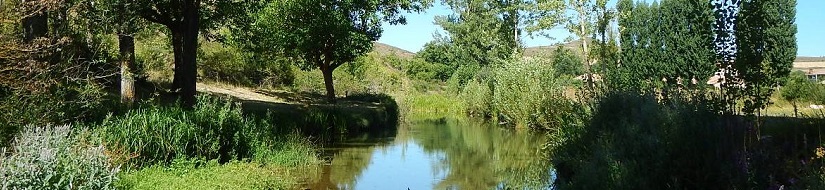 Reserva Natural Fluvial Río Rudrón desde 2 kilómetros aguas abajo del río Valtierra hasta su confluencia con el río San Antón