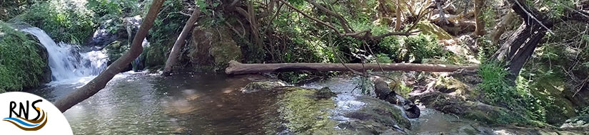 Nacimiento del Huéznar (Manantial de San Nicolás del Puerto)
