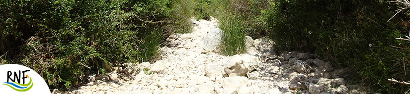 Reserva natural fluvial río Bailón 