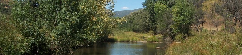 Reserva natural fluvial de los Ríos Estena, Estenilla y Estomiza