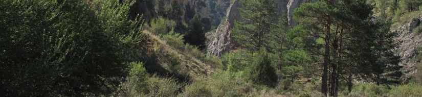 Reserva natural fluvial del río Noguera