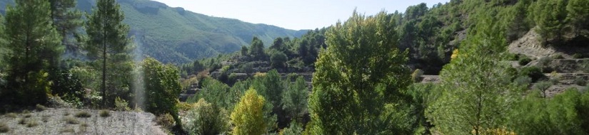 Reserva natural fluvial Arroyo de Los Collados y arroyo Escudero