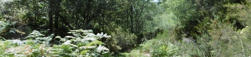 Reserva natural fluvial Garganta de las Lanchas