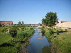 Jardin con especies exóticas en la zona fluvial