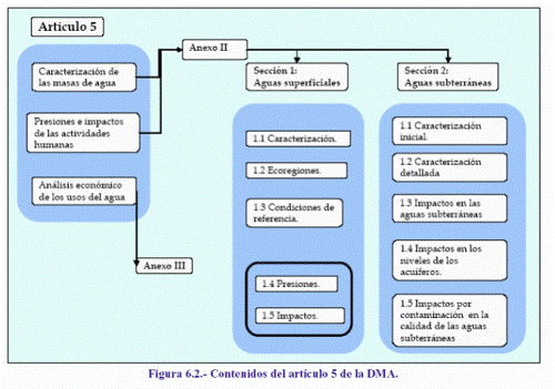 contenidos del artículo 5 de la DMA
