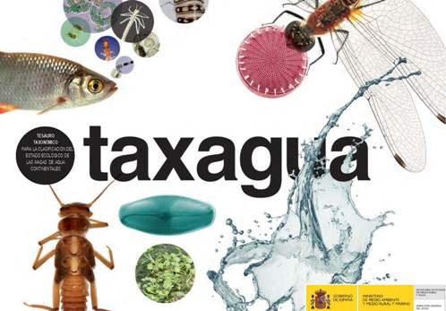 Imagen TAXAGUA