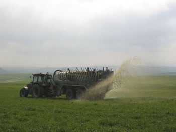 Protección de las aguas frente a los nitratos y pesticidas