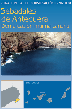 Imagen Zona ZEC Demarcación Canaria