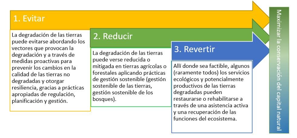 Figura 9: 1er Comité de Lucha contra la Desertificación. Fuente: Propia