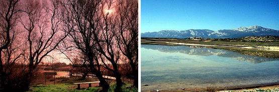 Tablas de Daimiel y Lagunas de Laguardia