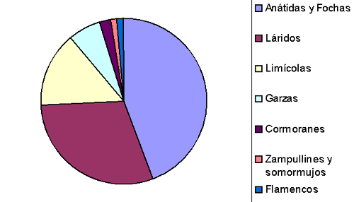 Proporción de los diferentes grupos de aves acuáticas invernantes en España.