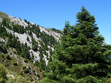 Sierra del Pinar. Ángel Sánchez Fernández