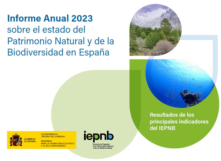 Portada Informe IEPNB