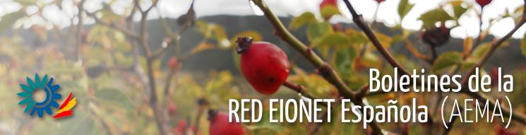 Banner Boletines Red EIONET