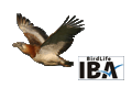 logo IBA SEO/BirdLife