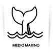 Seminarios sobre medio marino