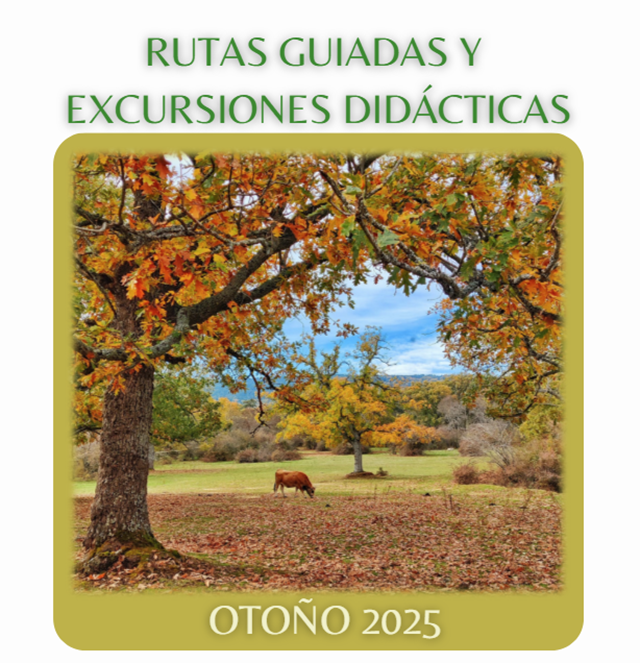 Rutas guiadas y excursiones didácticas - Otoño 2025