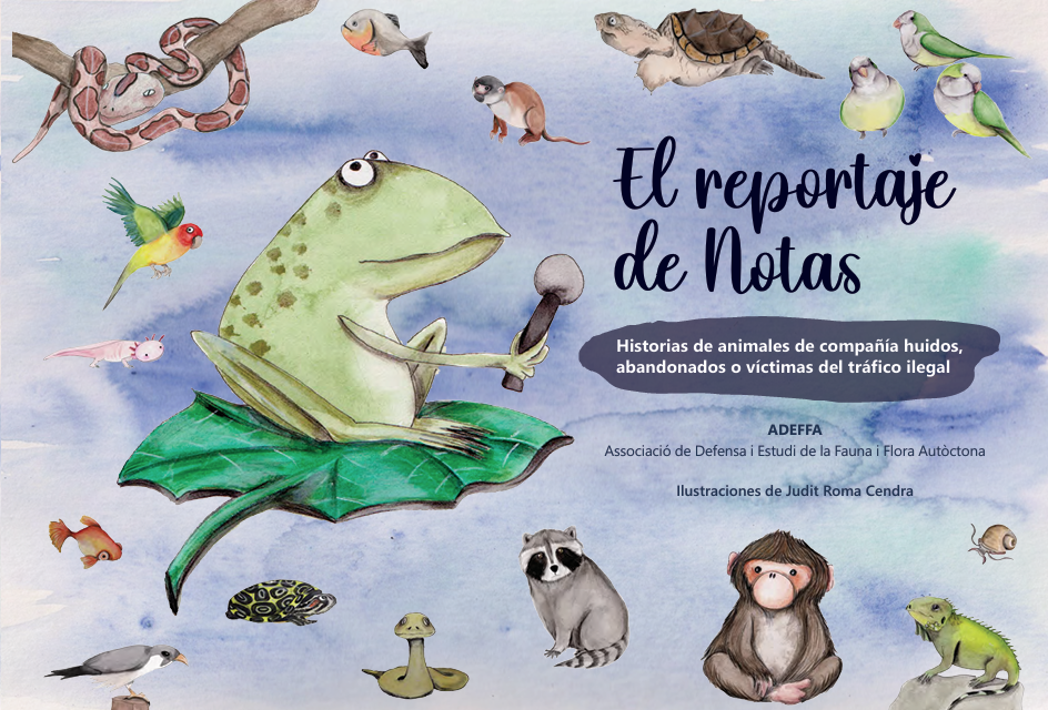 El reportaje de Notas