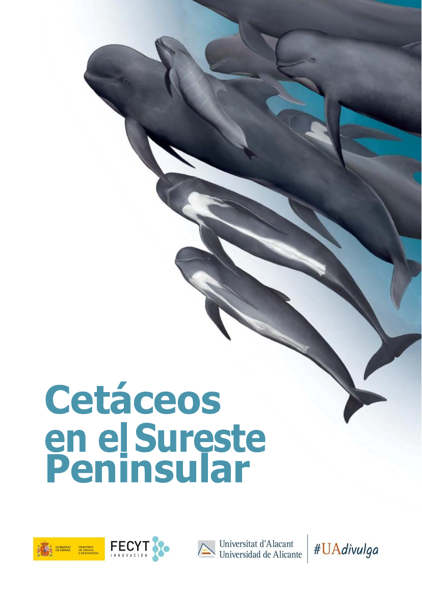 Guía de cetáceos en el Sureste Peninsular