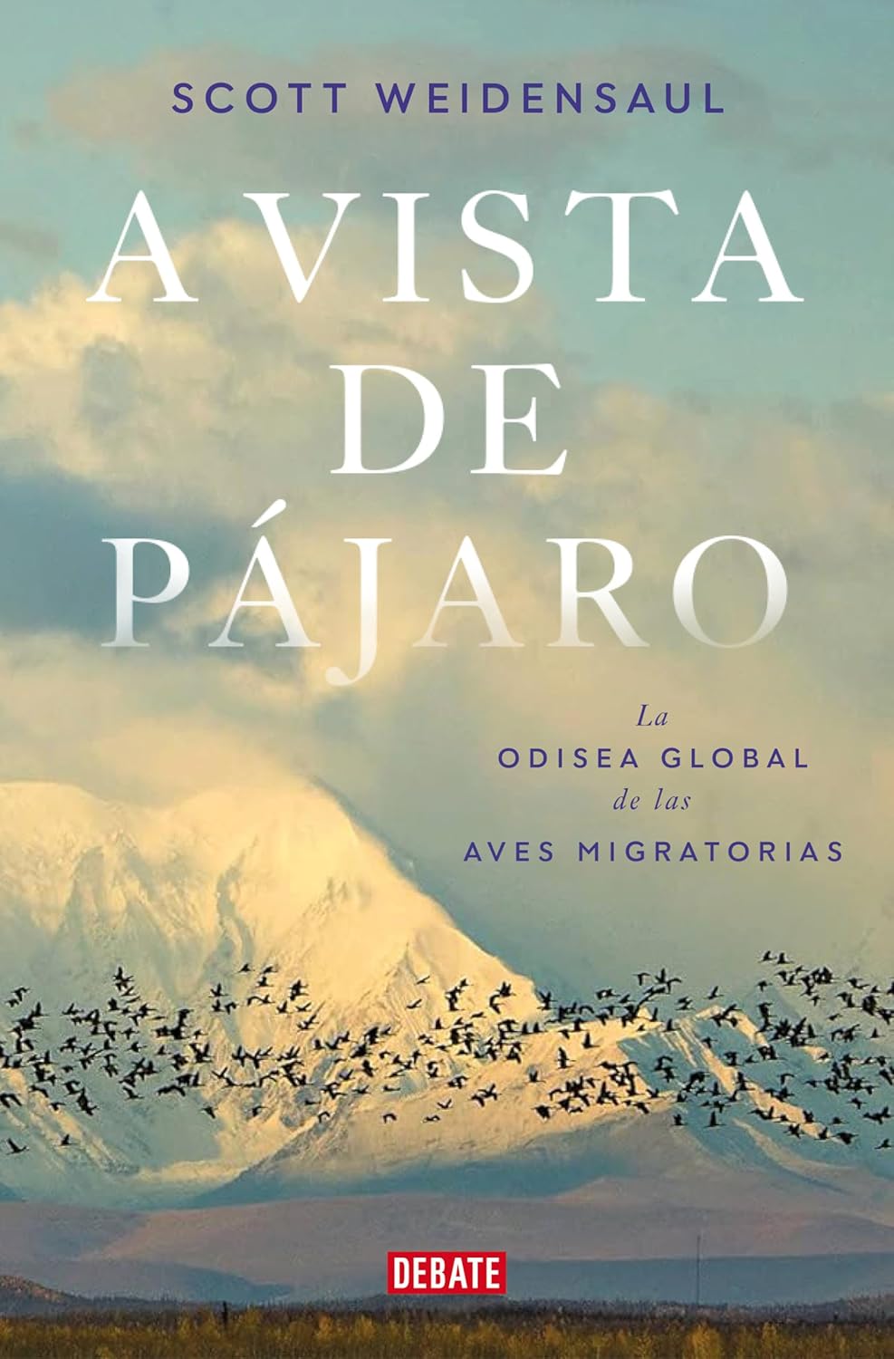A vista de pájaro. La odisea global de las aves migratorias