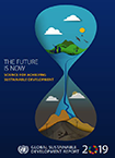 The Future is Now: Science for Achieving. Global Sustainable Development Report 2019