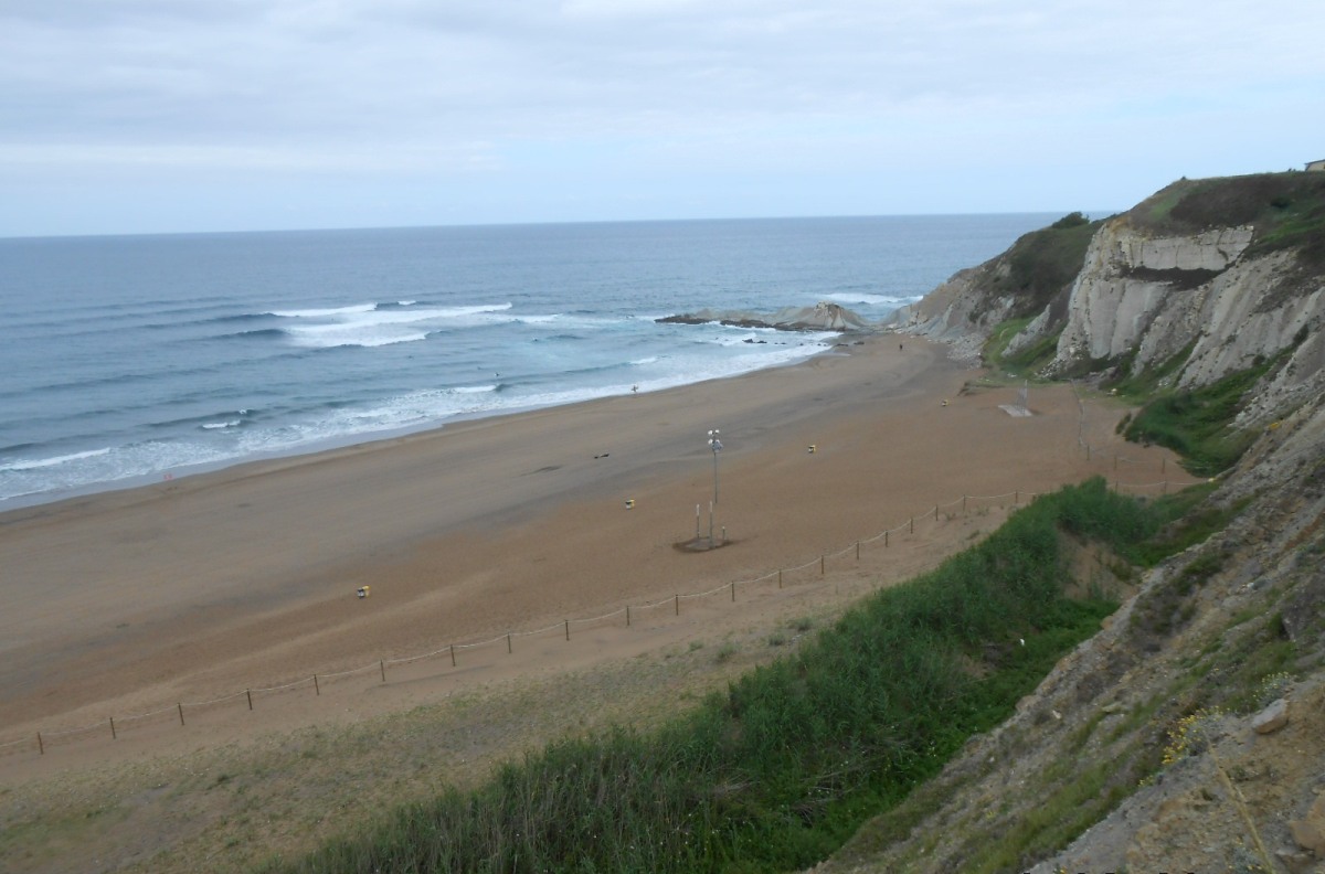 Playa Barinatxe (o La Salvaje). Restauración dunar.