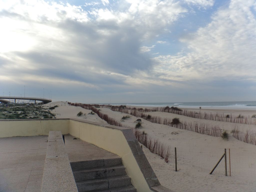 Retirada de tablestacado en la playa de la Cortadura