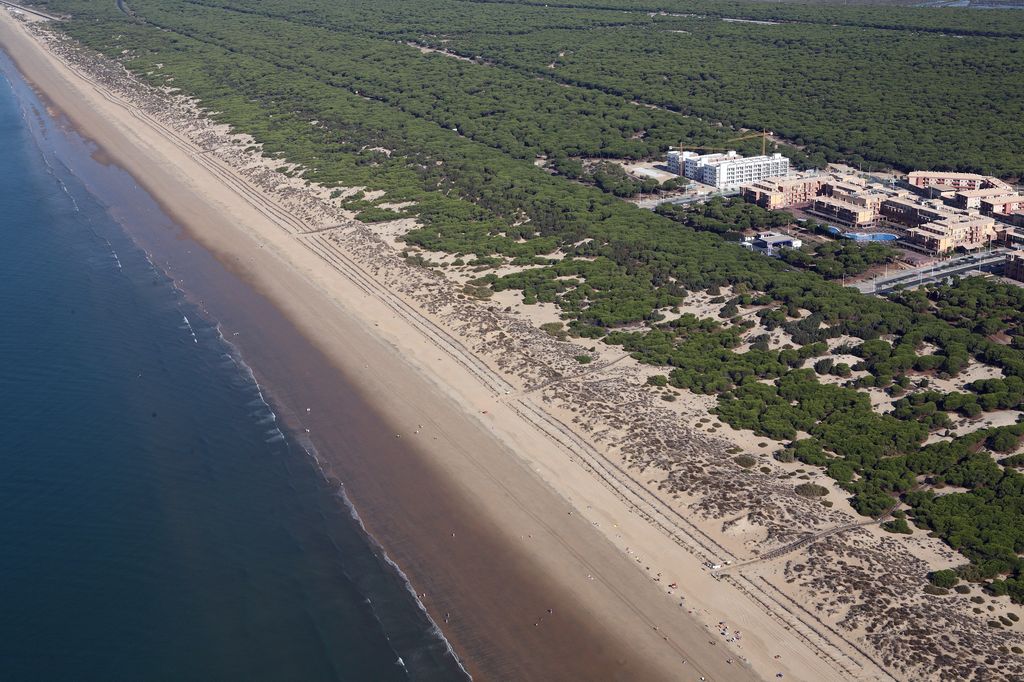 Restauración de la duna litoral en la playa 'Los Enebrales' (Terminado)