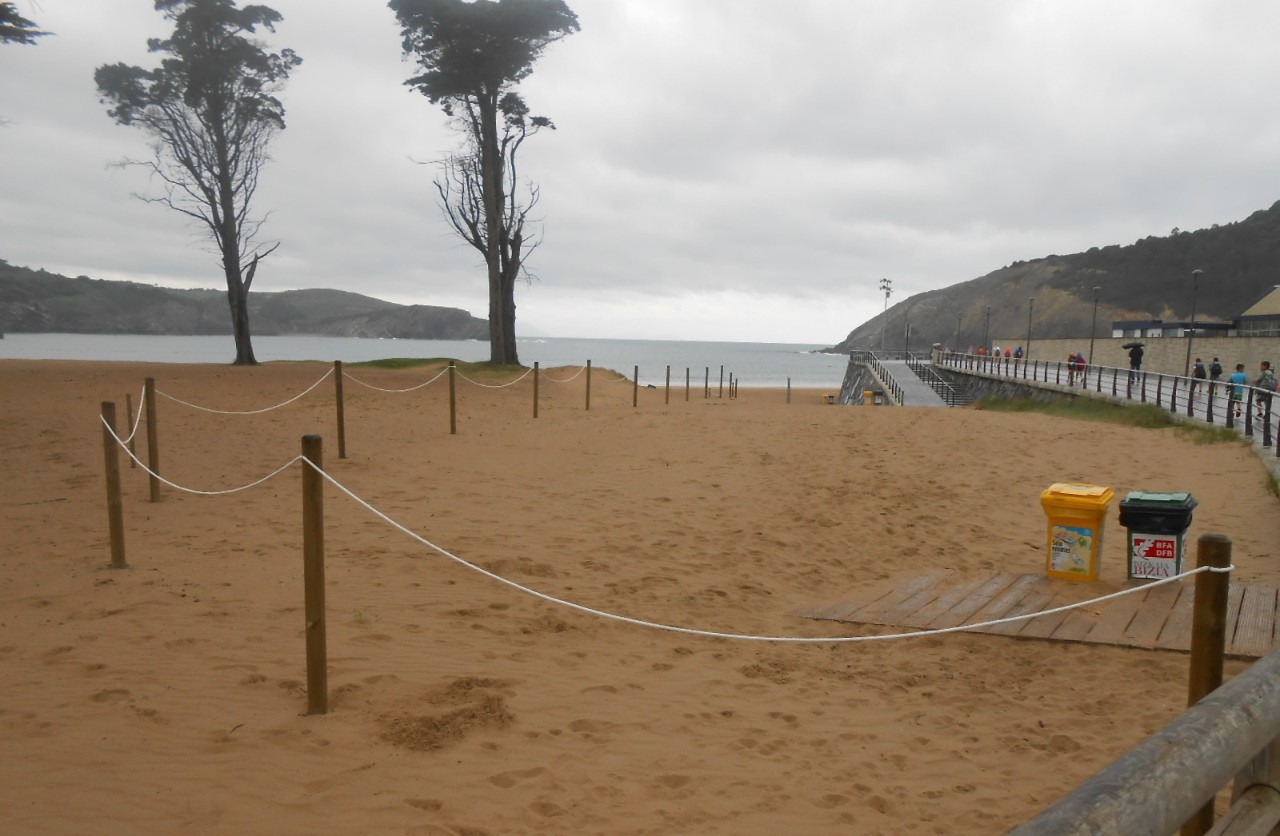 Playa y paseo de Gorliz. Restauración dunar.