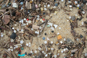 Imagen de microplásticos en playas