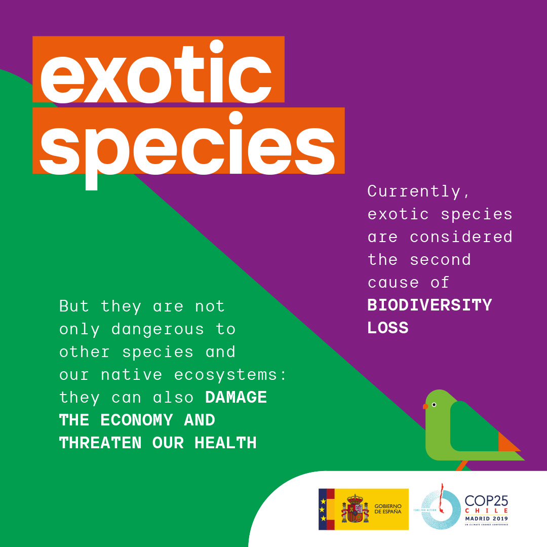 Exotic species