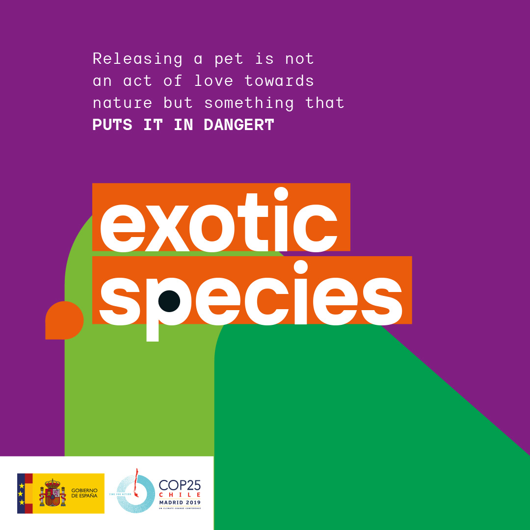 Exotic species