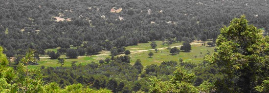 Paisaje de la Dehesa de Cotillas