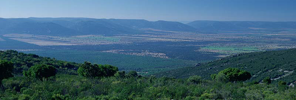 Panorámica de la llanada de Quintos de Mora [Fotografía C.Valdecantos]