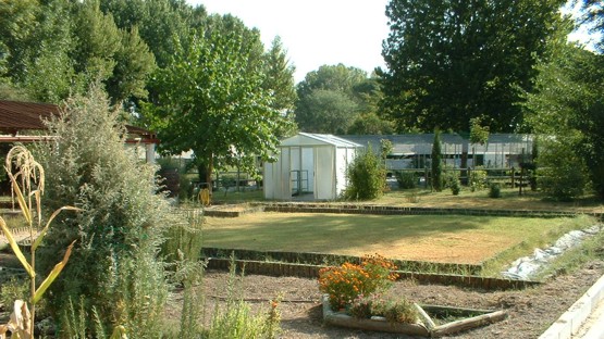 Cultivos en el Vivero Escuela Río Guadarrama