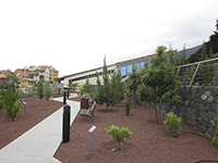 Centro de Visitantes del P.N. del Teide en La Orotava