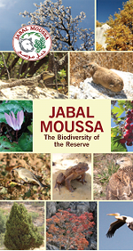 Jabal Moussa. The biodiversity of the reserve