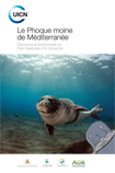 Le Phoque moine de Méditerranée. Découvre la biodiversité du Parc National d’Al Hoceima