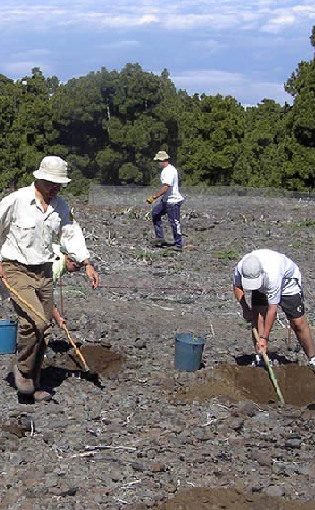 C4.I3. Restauración de ecosistemas e infraestructura verde