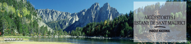 Els Encantats desde el estany de Amitges